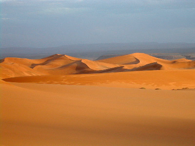 Die W&uuml;ste in Algier (c) Bertrand Devouard et Florence Devouard