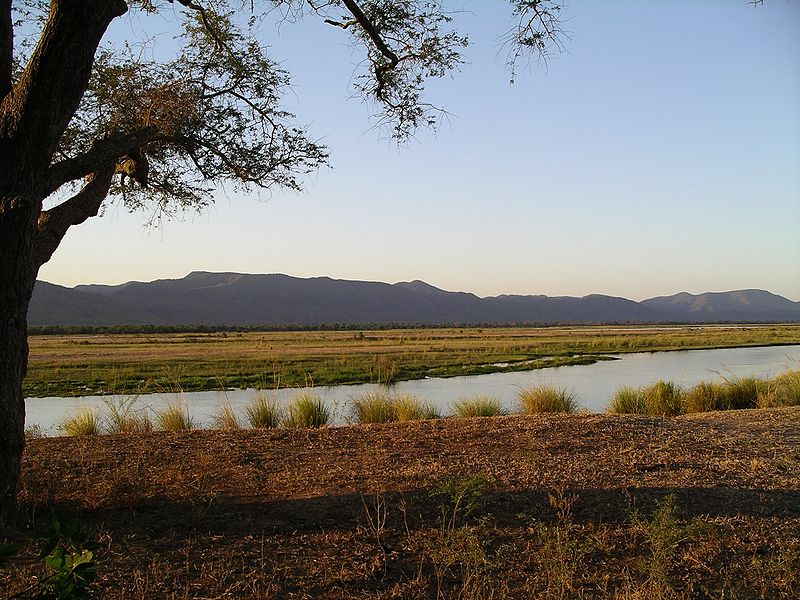 Savannenlandschaft im Sambesi Tal (c) gemeinfrei