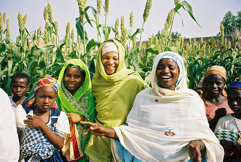 Frauen arbeiten in der Landwirtschaft (c) USAID