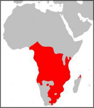 Die Verbreitung der Bantuv&ouml;lker im s&uuml;dlchen Afrika (c) wikimedia