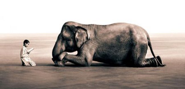 Das Photo des Filmemachers Gregory Colbert, der die Ausstellung _Ashes and Snow_ am Nomadic Museum 2002 kuratierte, ging um die Welt