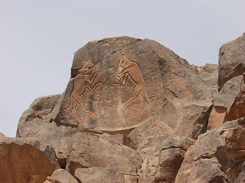 Wadi Mathendous K&auml;mpfende Katzen (c) Hakeem gadi