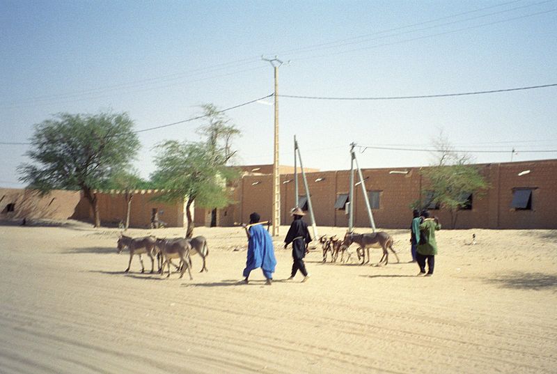 Hirten in Timbuktu