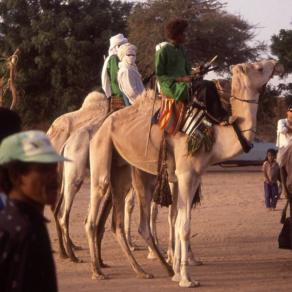 Tuareg in Agadez (c) Albert Backer