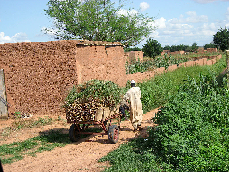 Getreideanbau am Niger (c) Curt Reynolds