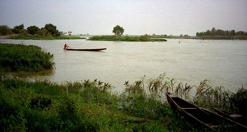 Der Fluss Niger (c) Dan Lundberg