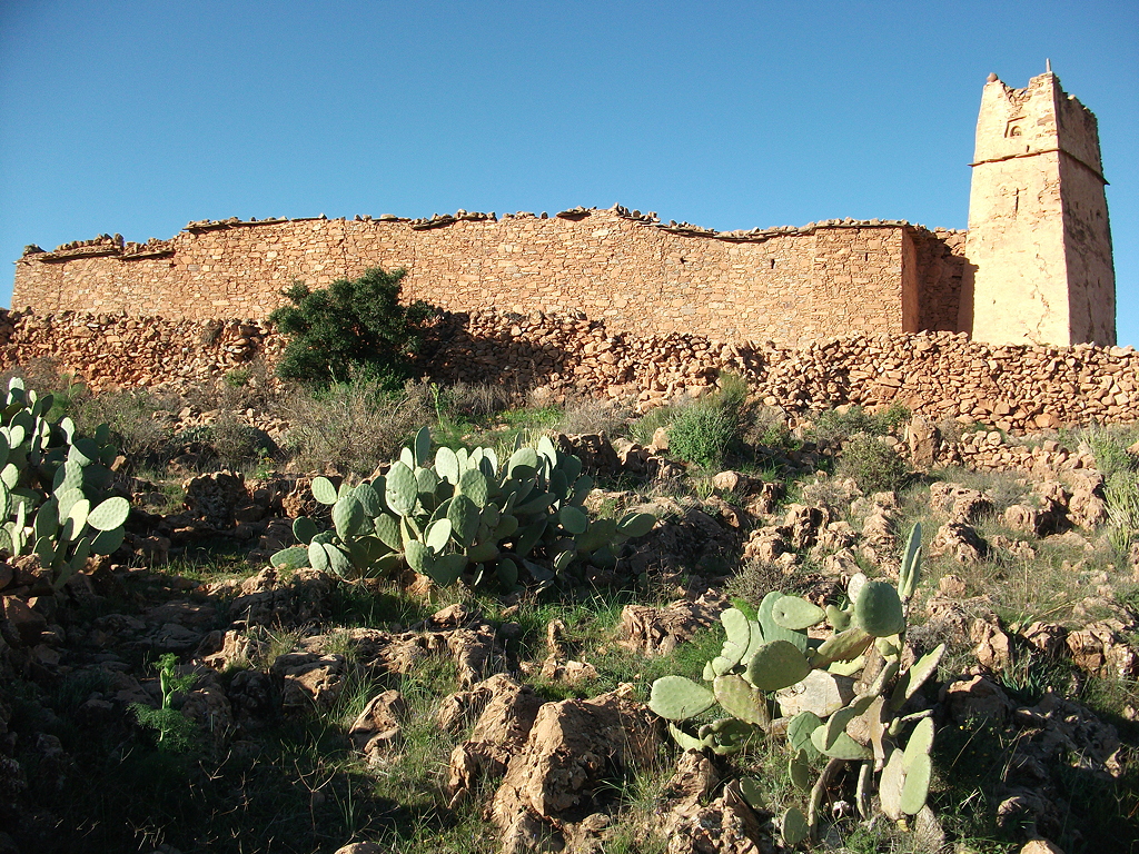 Agadir-Imhilene-Marokko-Kaktusgestrpp