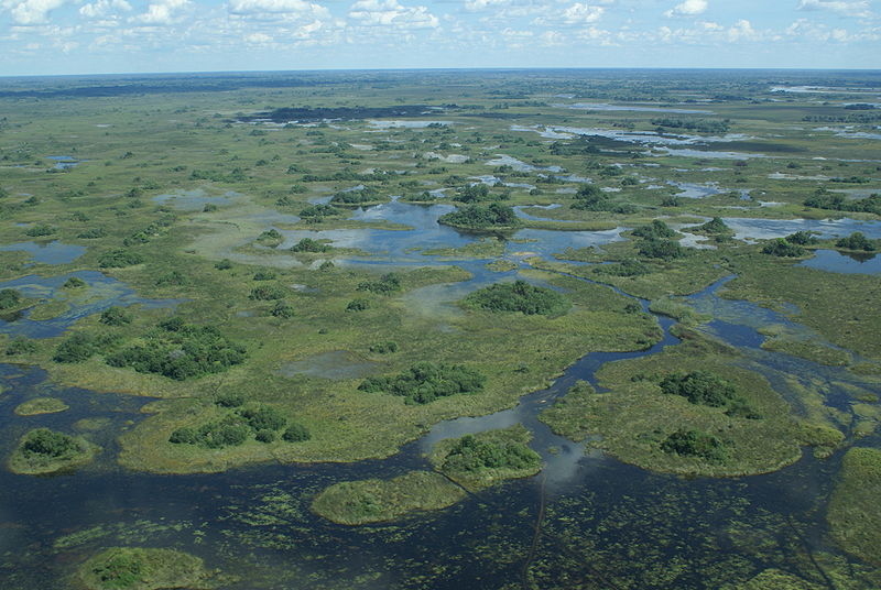 Okavango Delta