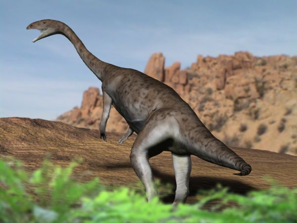 Prosauropode