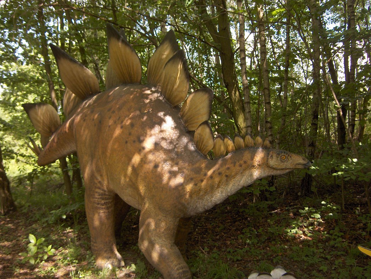 Stegosaurusmodell
