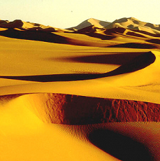 Die Wüste Sahara (c) Peter v. Sengbusch
