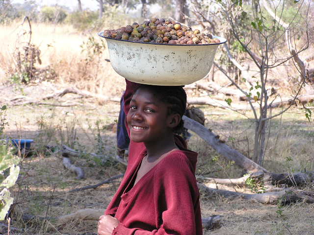 Junges Mädchen beim Früchtesammeln im Okavango Delta (c) DDD DDD 