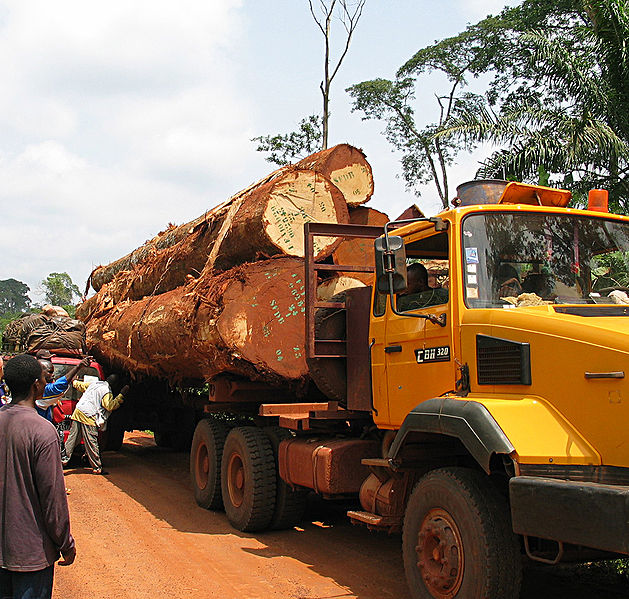 Holzhandel Kamerun