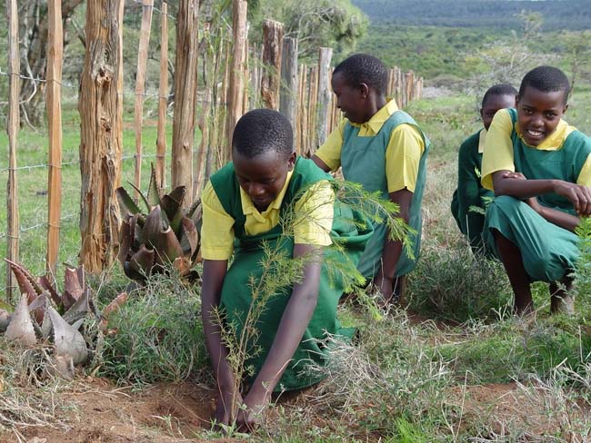 kenianische mädchen pflanzen bäume