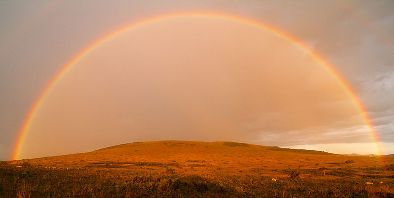 Maasai Mara - Nationalpark in der Hochebene von Kenia (c) Siddharth Maheshwari