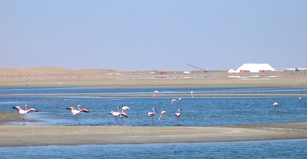 Harald Schöpfle CCBYSA 2.5