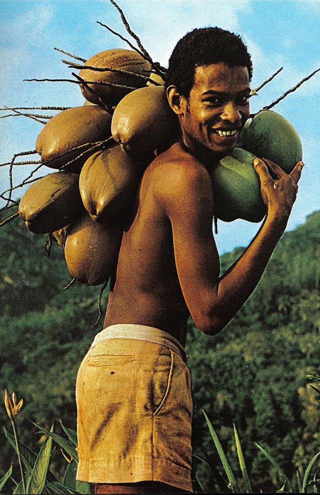 Junge auf den Seychellen trägt Kokosnüsse zum Markt (c) Marcel Fayon CC BY SA 3.0