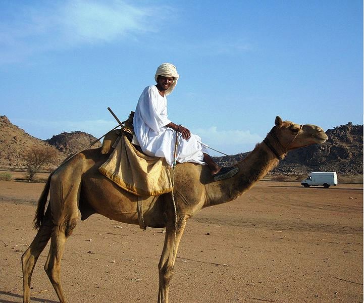 Kamelfrührer in der Wüste von Sudan (c) Pier Luigi Bertola