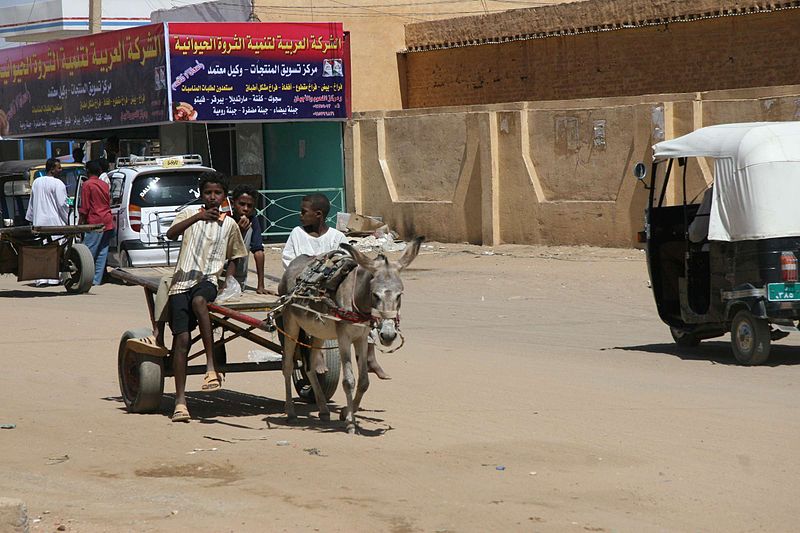 Straßenszene in Nubia, Sudan (c) COSV