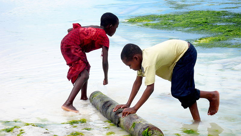 Kinder in Sansibar (c) Nannarella