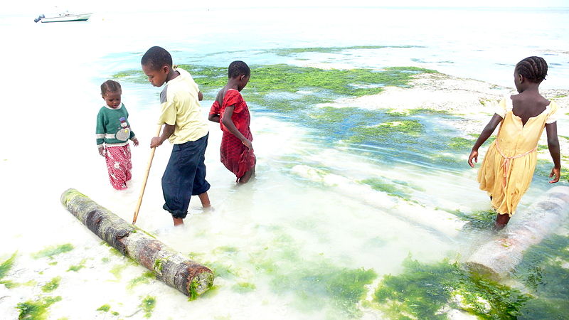 Alleinlebende Kinder in Sansibar (c) Nannarella