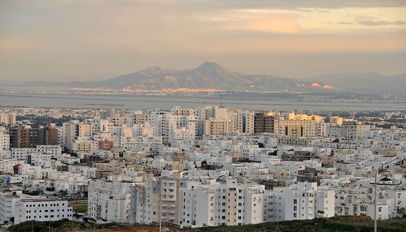 Panorama von Tunis (c) Citizen59