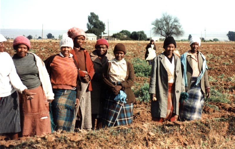 Südafrikanische Feldarbeiterinnen