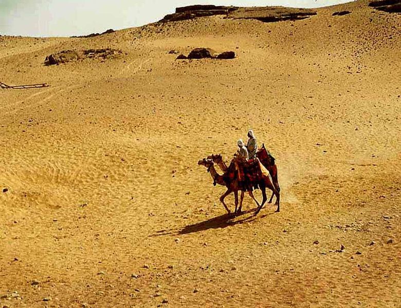 Ägyptische Wüste (c) Steve Evans
